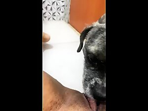 Novinha adora ser lambida