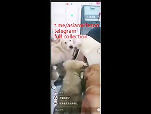 Thumb 9