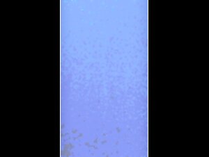 Thumb 10