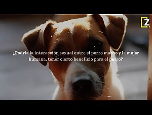 Beneficio Canino - Z