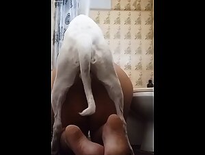 Thumb 6