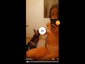 Dog licking niples