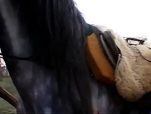 Mature Hungrian sex stallion