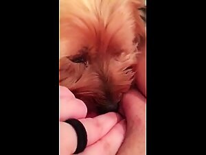 Thumb 9