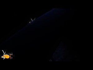 My Wife 3D Hentai