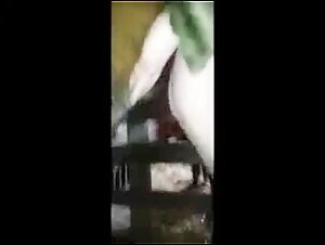 Zoophilia