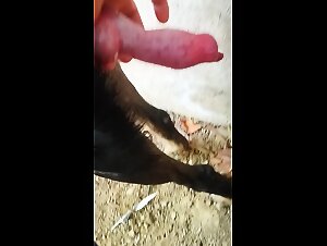 Thumb 10