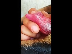 Thumb 9