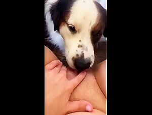 Thumb 6