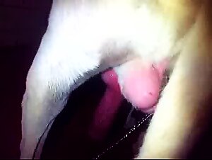 Thumb 8