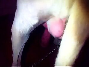 Thumb 9