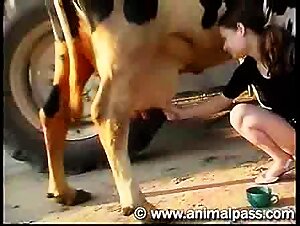 woman with cow