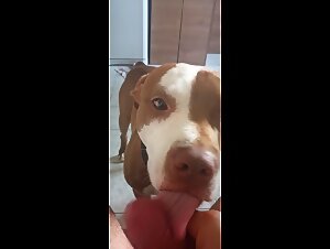 Lick 2
