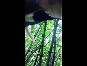 Thumb 9
