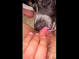 Clit loving pupper