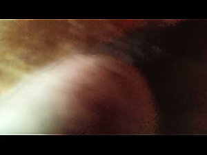 Dog sex video